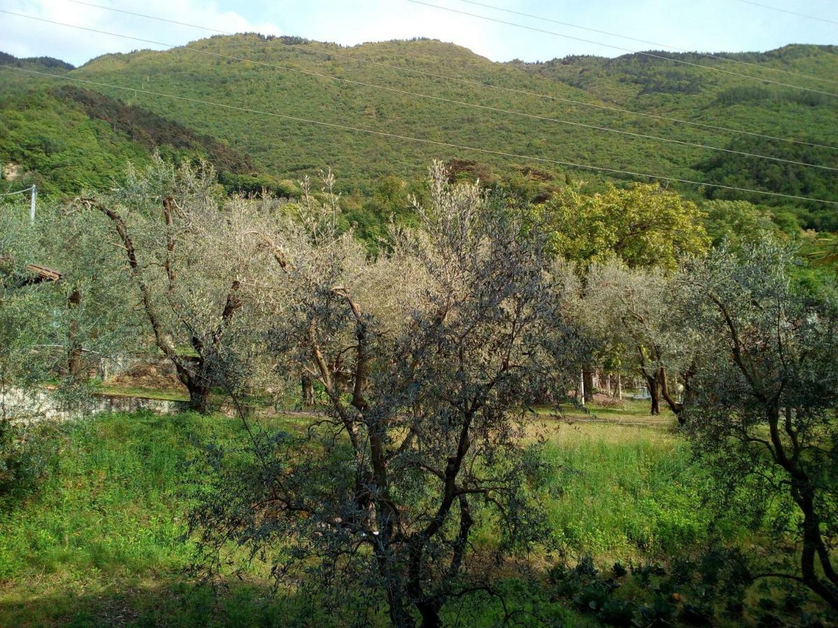 B&B Agli Ulivi Arco Extérieur photo