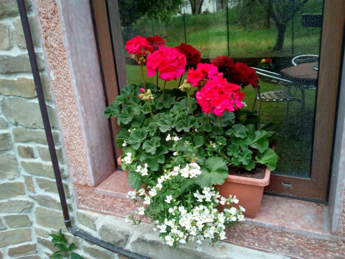 B&B Agli Ulivi Arco Extérieur photo